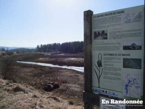 A la découverte des zones humides de Frasne et Bouverans