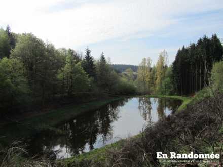 Etang privé à proximité de l'étang Broichot