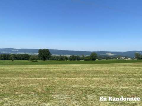 Vallon de Sancey et Cusancin