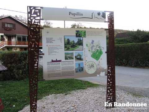Le vignoble de Pupillin