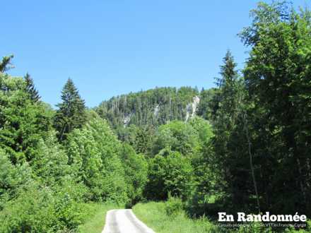 Forêt de la Haute Joux