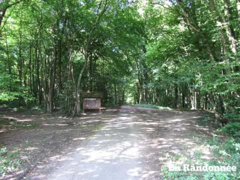 Le belvédère de Mandeure