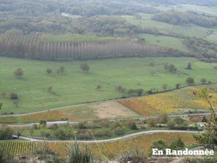 Vue sur le vignoble de Poligny