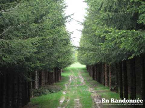 Le Meix Foncin, Val de Morteau
