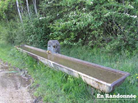 Les tourbières du Barchet