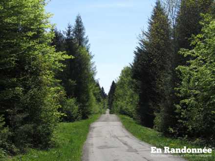 Route des Sapins