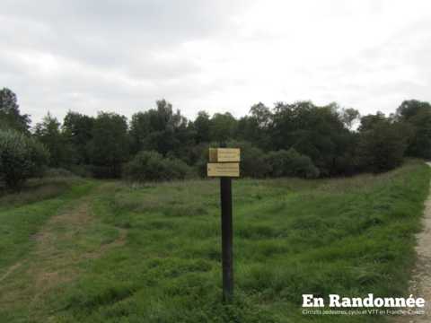 Les marais de Saône – la boucle de l'eau
