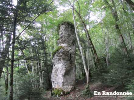 Colonne rocheuse appelé "Chandelier"