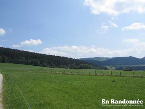 Bois du Geai - Morteau