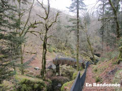 Les pertes de l'Ain