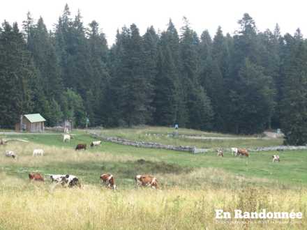 Poste frontière franco-suisse