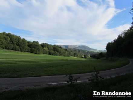 Pâturages en direction du Mont Poupet
