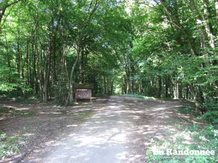 Entrée du bois du Bannot