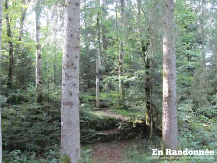 Combe aux prêtres réfractaires