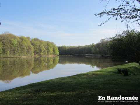 Le piémont vosgien, entre Offemont et Étueffont