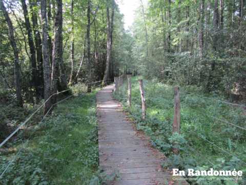 Les marais de Saône – la boucle de l'eau