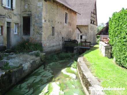 Ruisseau de la Coeuvatte