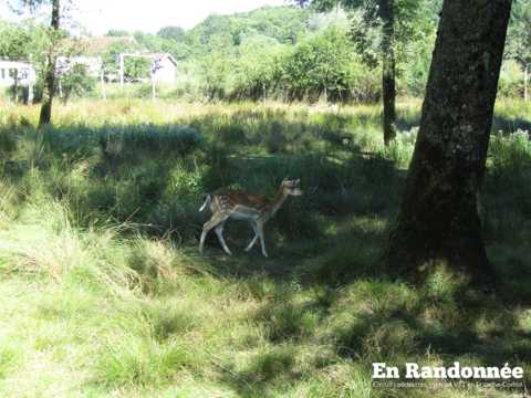 Découverte de Port-sur-Saône