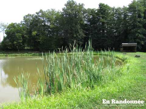 Ronchamp, sa chapelle et la Boucle des Champs