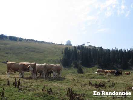 Vue sur la Dôle depuis les Dappes