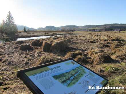 Tourbière du Moutat et son sentier d'interprétation