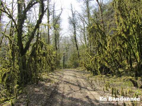 Les crêtes de Chenecey-Buillon