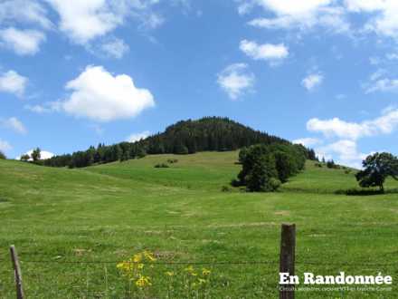 Vue sur le Mont Châteleu
