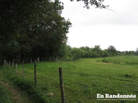 Les marais de Saône – la boucle de l'eau
