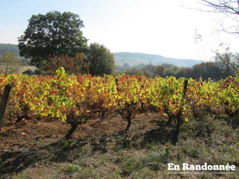 Balade au cœur de Jura Nord