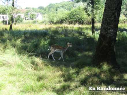 Parc animalier de la Maladière
