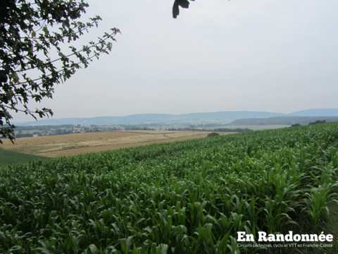 La campagne marnaysienne