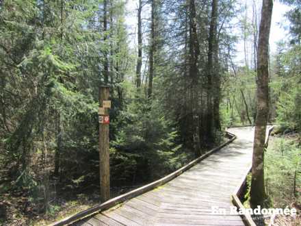 Indication du sens de la boucle des Tourbières