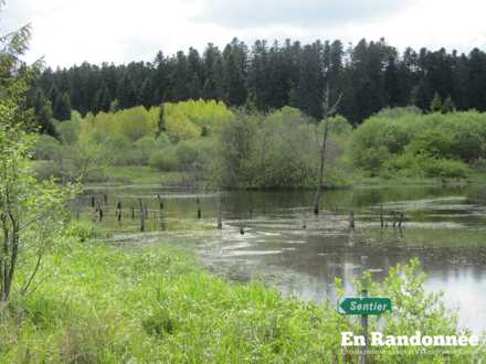 Tourbières du Barchet