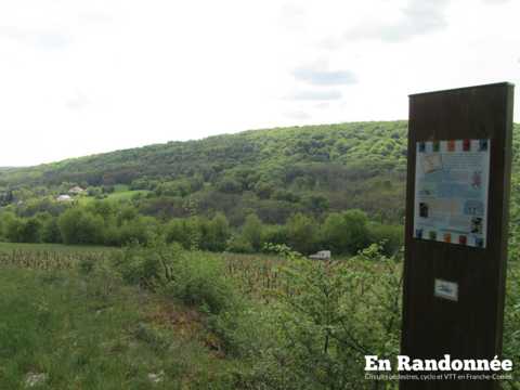 Sentier d'interprétation de la Vigne du Jura Nord