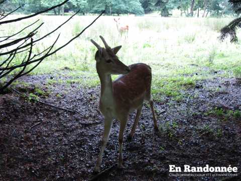 Les villages du bois du Chanois : Boult, Montarlot, Chaux