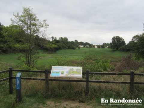 Les marais de Saône – la boucle de l'eau