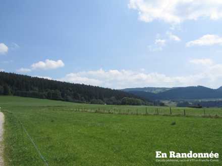 Vue sur le bois du Geai