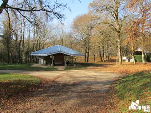 La forêt de Chailluz