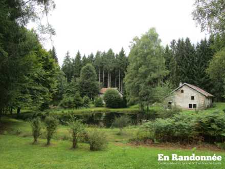 Etang du Mont du Tronc