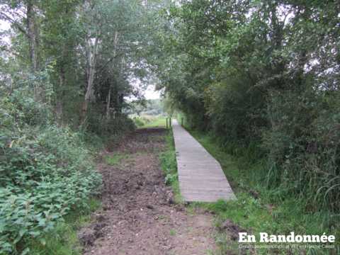 Les marais de Saône – la boucle de l'eau