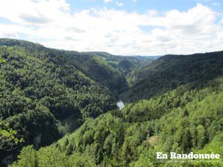 Belvédère des Vieilles Femelles