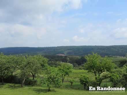 Vue sur le massif de la Serre