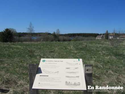 Panneau 1 - La tourbière, étape par étape