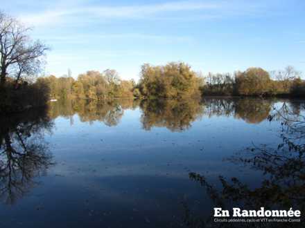 Les berges de l'Ognon