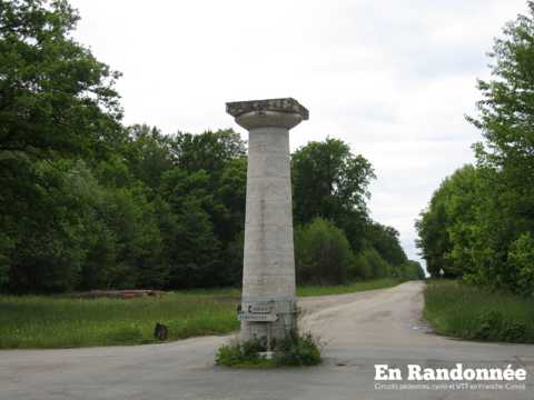 La Forêt de Chaux par la Saline Royale d'Arc-et-Senans
