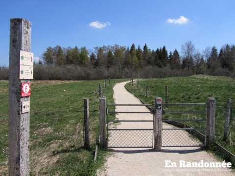 Les tourbières de Frasne