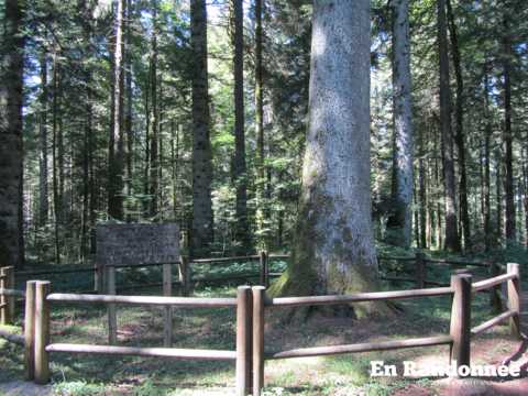 Les Crêtes - Plateau de Maîche