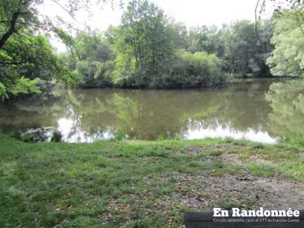 Les étangs de la Vaivre