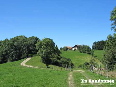 Les Crêtes - Plateau de Maîche